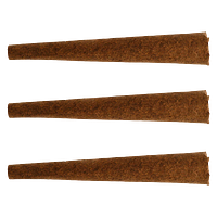 The Loud Plug - Cocolicious Benny Blunto