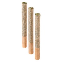 Cappellano Cannabis Co. - Organic Gastro Pop LTO Pre Roll