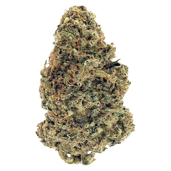 Woody Nelson Warehouse - Premium Smalls (Rotational)