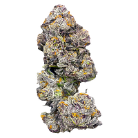 Castle Rock Farms - Gastropop