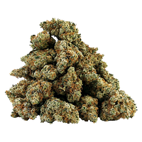 BC OZ - White Freezie