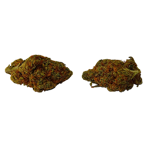 True Core - Uzi