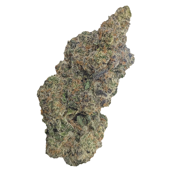 Natural History - Limited Reserve Indica