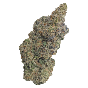 Natural History - Limited Reserve Indica