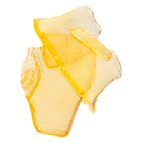 The Loud Plug - LA Inferno Shatter