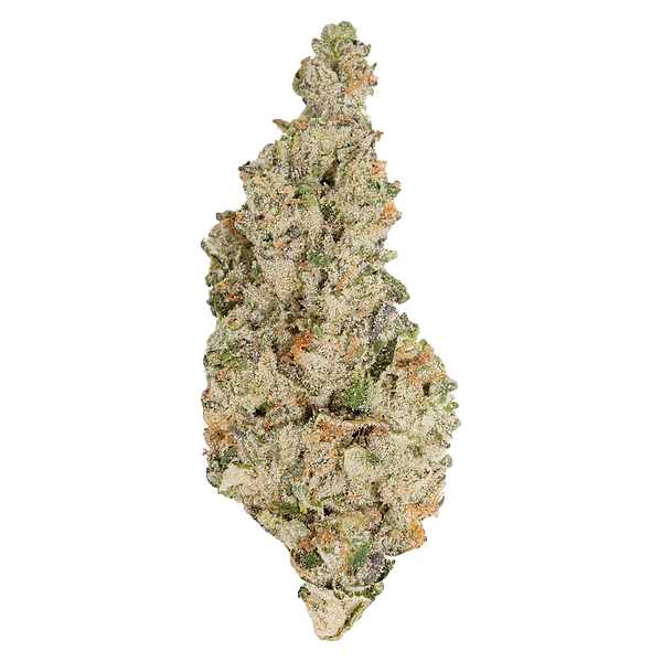 Always Toasted - Gaelic Fire