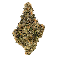 Amani Craft - Rotating