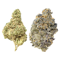 Snicklefritz - Candi Gas Mixed Pack - Froot Stripez & Gas Tingz