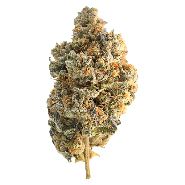 Encore - Hybrid Greatest Hits Vol. 1