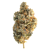 Encore - Hybrid Greatest Hits Vol. 1