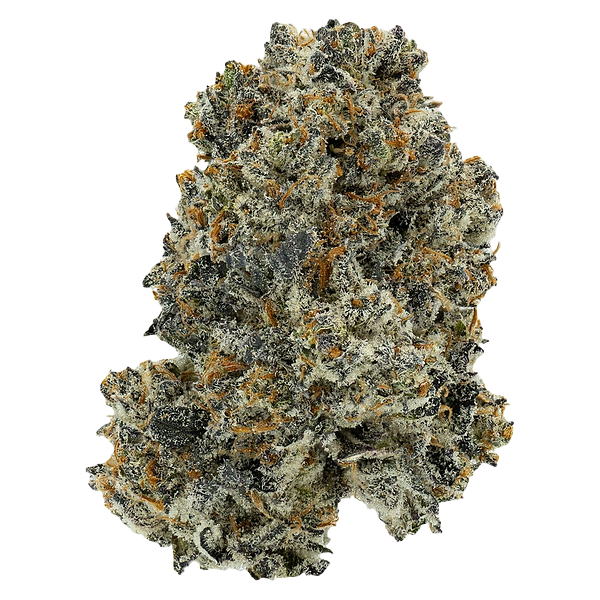 Crooked Dory - Dreamcatcher