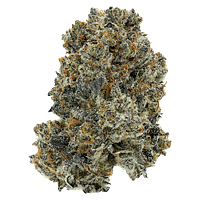 Crooked Dory - Dreamcatcher