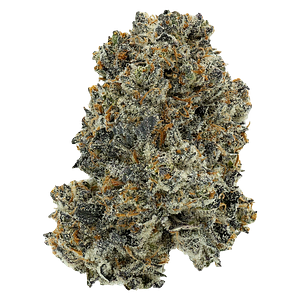 Crooked Dory - Dreamcatcher