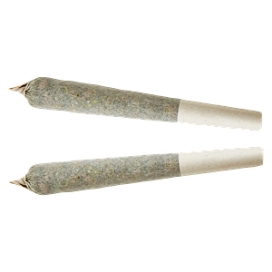 XPLOR - Indica Pre-roll