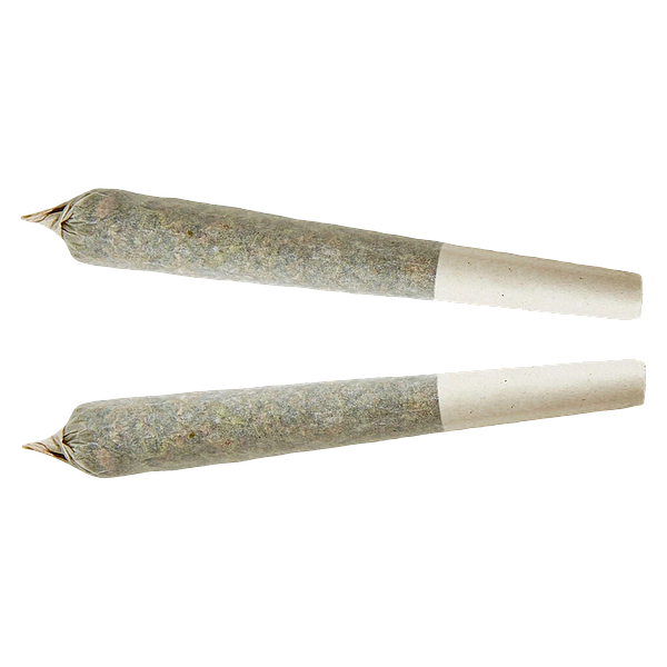 XPLOR - Sativa Pre-roll