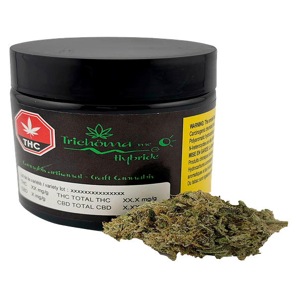 Trichöma Mc - Hybride