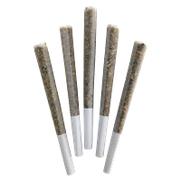 DEALR - Iced Zuchi Pre Roll