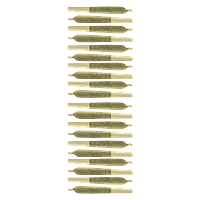 Sheeesh! - Key Lime Pie Pre-Roll