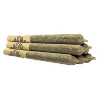 Carmel - Northern Tropic Pre-Roll