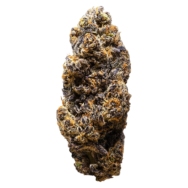 3rd Coast Genetics - Frozen Cola