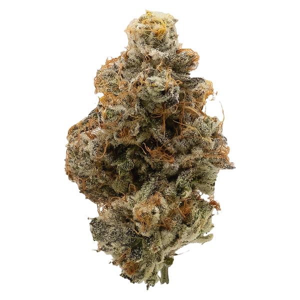 Northern Canna - Atomic Marker