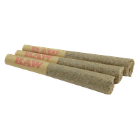 The Florist - Facade Pre Roll