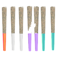 Sweet Vengeance - Pandora's Prizm Pre Roll