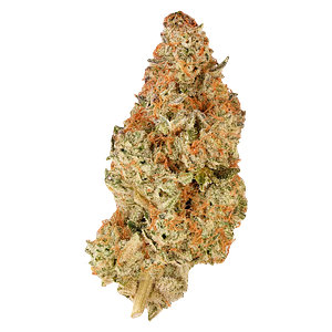 Simply Bare - Bc Organic Pink Drip