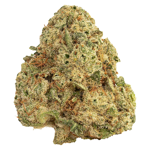 East Coast Terpz - Small Batch Craft Whole Flower