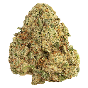 East Coast Terpz - Small Batch Craft Whole Flower