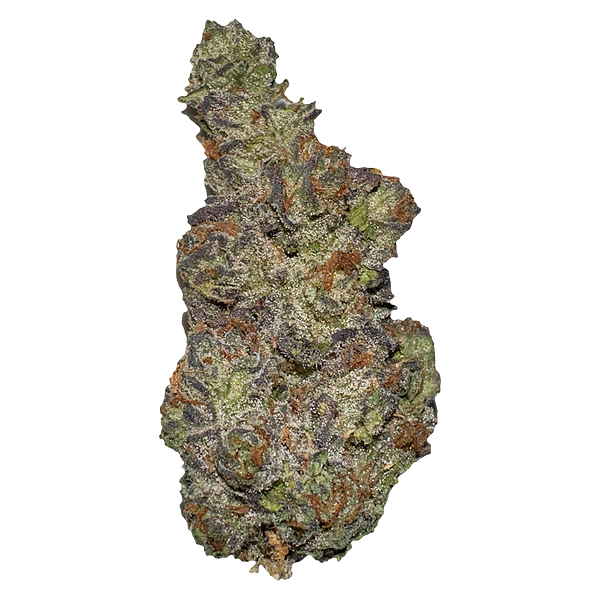 Terp Town Collective - Queen Of Tartz