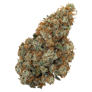 Natural History - Limited Reserve Sativa