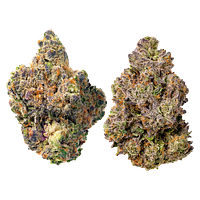 Cookies - Double Stuffed Variety Pack