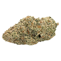 Carmel - Zebra Stripes