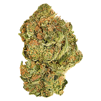 Good Supply - Brand New Buds