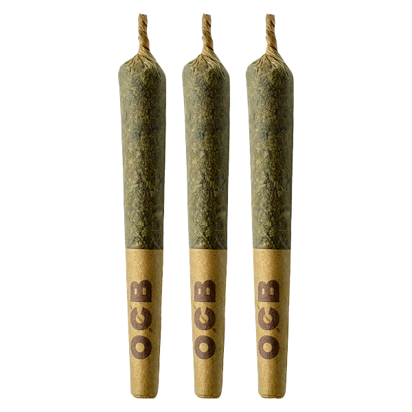 Coterie - Blue Ztarburzt Pre-Roll