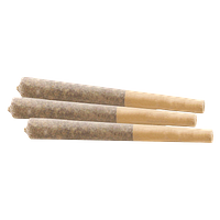 Woody Nelson - Rainbow Driver Craft Pre Roll