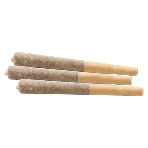 Woody Nelson - Rainbow Driver Craft Pre Roll