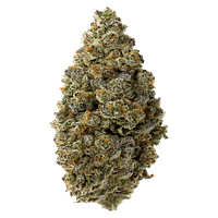 FOUR54 - Hawaiian Marker