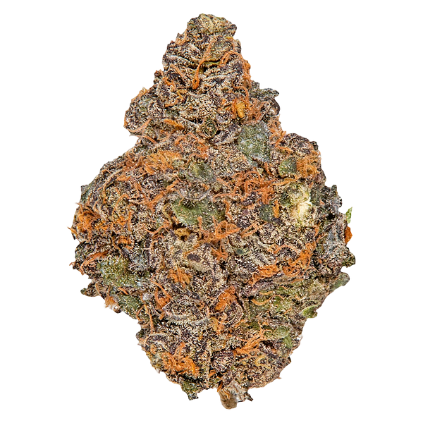 Potluck - Beaver Tail