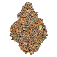 Potluck - Beaver Tail