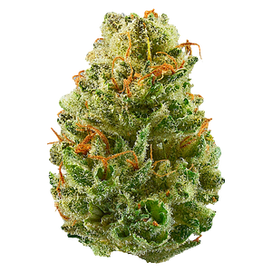 Potluck - Strawberry Cough