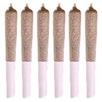 Station House - Coast to Coast Series Pre-Roll