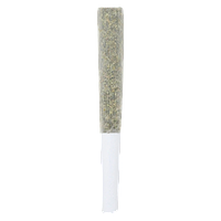 3rd Coast Genetics - Frozen Cola Pre-Roll