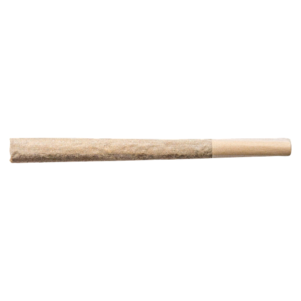 Cheers Cannabis - Alien Kush Pre-Roll