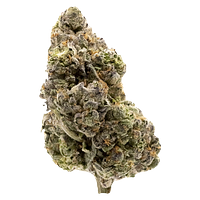 FIGR - Midnight Sherb