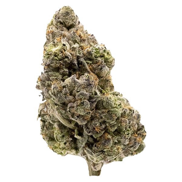 FIGR - Midnight Sherb