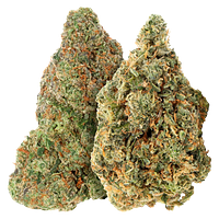 Carmel - Two Pack: Bubblegum Marker & Red Bullz