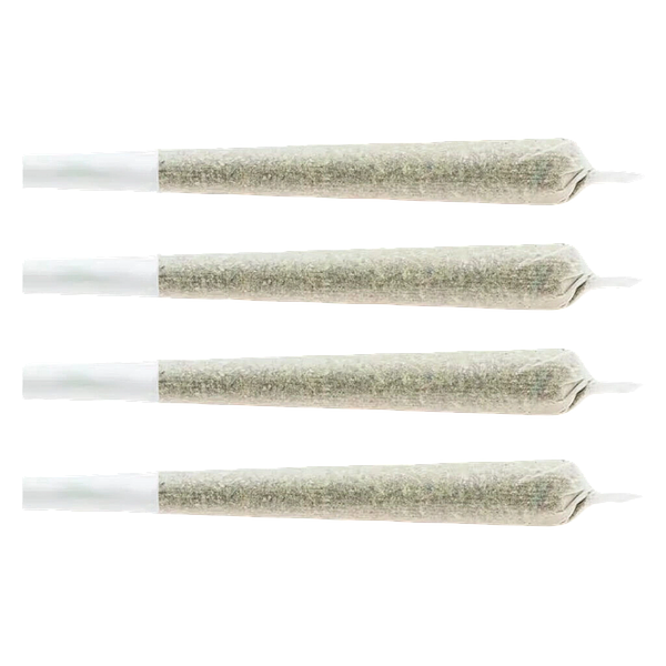 CHUB'S - Snack Pack - Sativa Pre-Roll