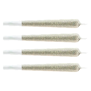 CHUB'S - Snack Pack - Sativa Pre-Roll